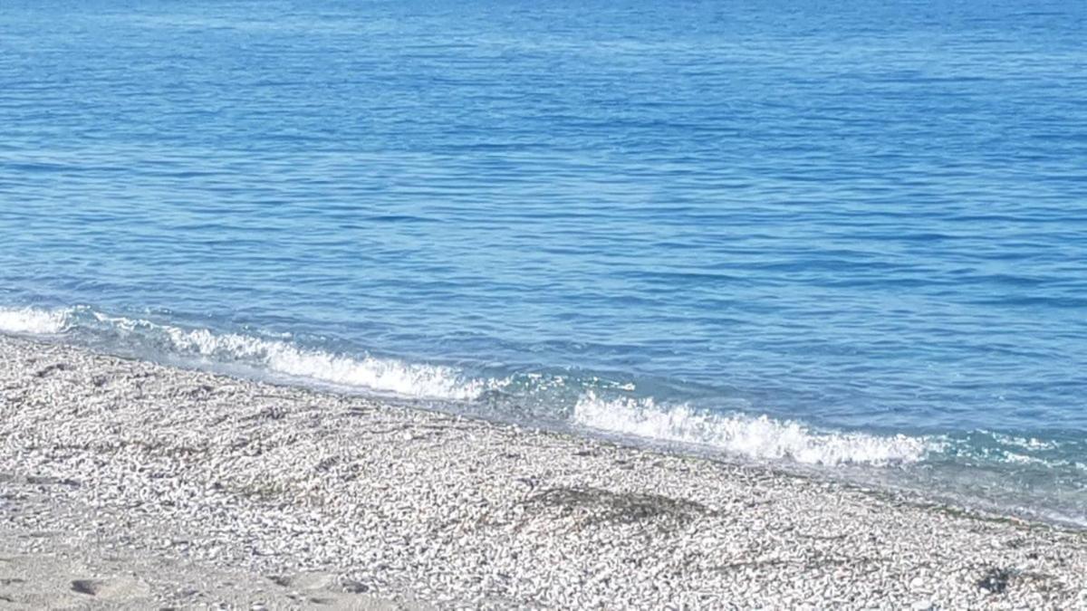 To Giouli Hotel Volos Bagian luar foto