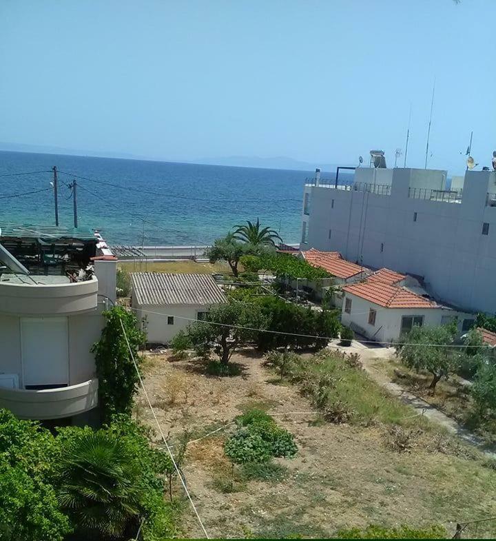 To Giouli Hotel Volos Bagian luar foto